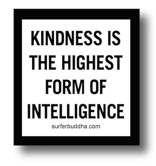 #830 KINDNESS IS THE HIGHEST FORM OF INTELLIGENCE - VINYL STICKER - ©808MANA - BIG ISLAND LOVE LLC - ALL RIGHTS RESERVED